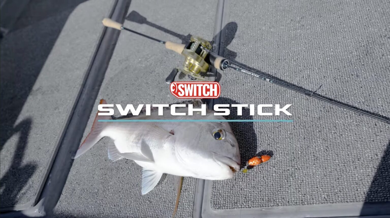 Review of Jackall's Short Tai-Rubber Rod